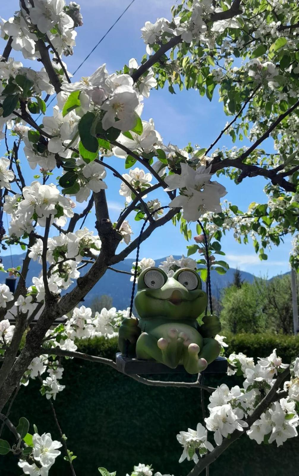 Appartment Herzblick Sankt Georgen im Gailtal Exteriör bild